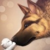Аватар: Кристина Свидинская