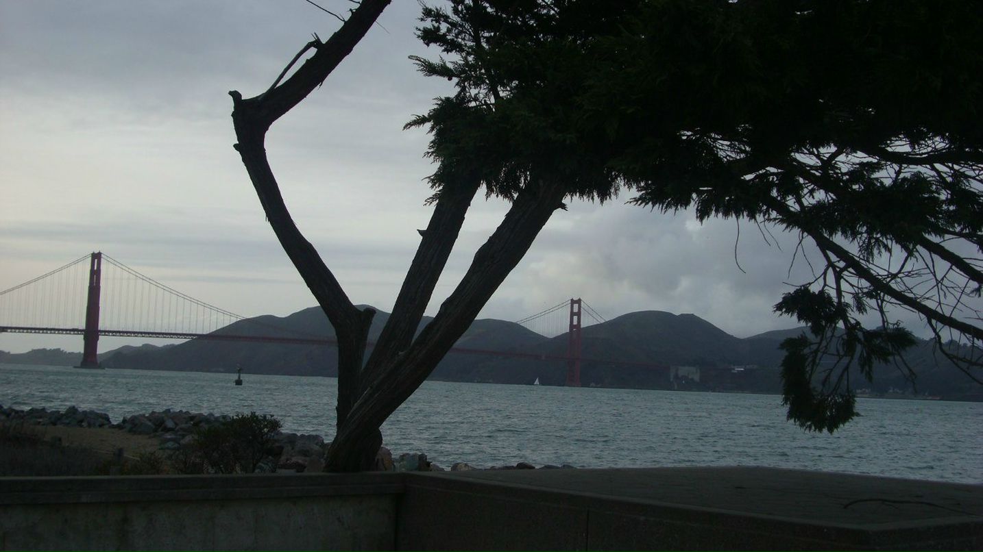 Светлана Попова | Москва