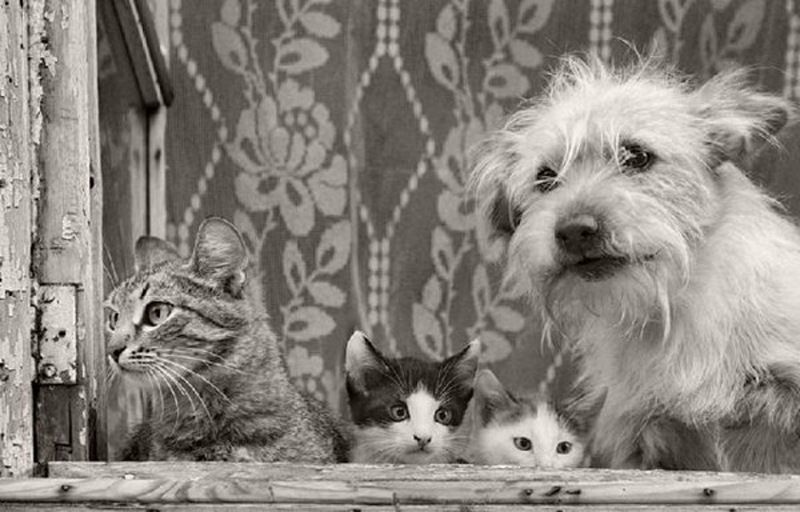 №166, Juliana Mierzejewska, 35 лет, Tampere №166, Juliana Mierzejewska, 35 лет, Tampere