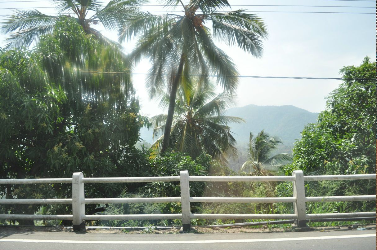 Женя Вихрев StarBoy | Киев