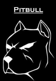 №101, Димчеттто Новченко, Калининград №101, Димчеттто Новченко, Калининград