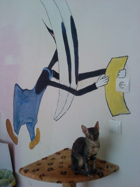 Анна Ткач | Калининград