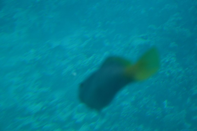 Рома Султанов | Москва