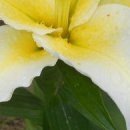 №173, Анна Кравченко, 35 лет, Электросталь №173, Анна Кравченко, 35 лет, Электросталь