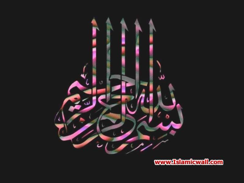 Камал Курбанов | Санкт-Петербург