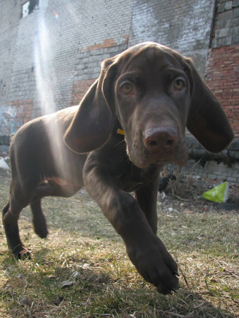 Роман Егоров | Калининград