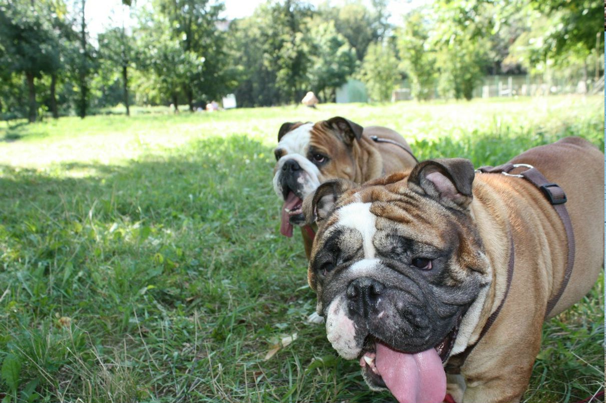 Ольга Скотч | Москва