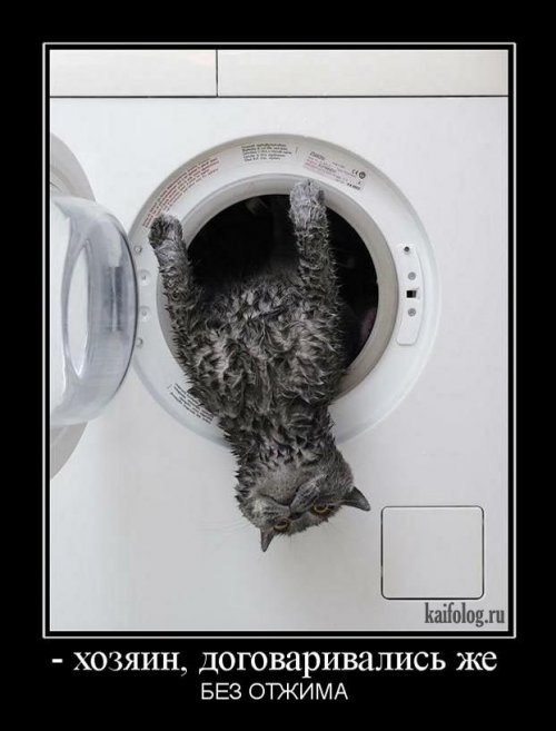 Александр Масляков | Барвиха (поселок)