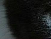 Маруся Огородникова | Москва