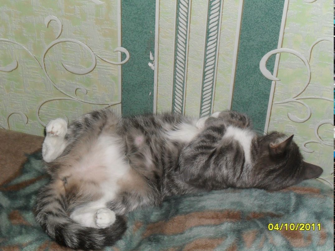 Александр Борисов Sashnev | Санкт-Петербург