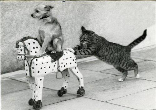 Андрей Сюков | Нижний Новгород