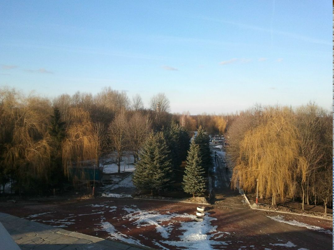 Артур Трофимов | Днепр (Днепропетровск)