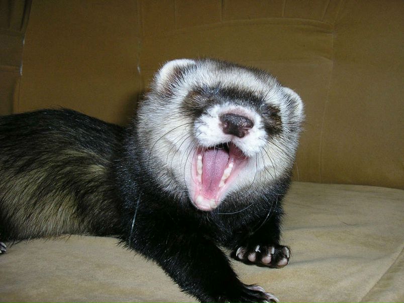 №10, Юляша Molite, 34 года, Санкт-Петербург №10, Юляша Molite, 34 года, Санкт-Петербург