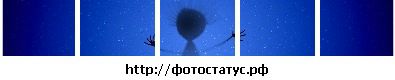 Фотография Сергей Бул