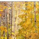 №135, Олег Водинов, Череповец №135, Олег Водинов, Череповец