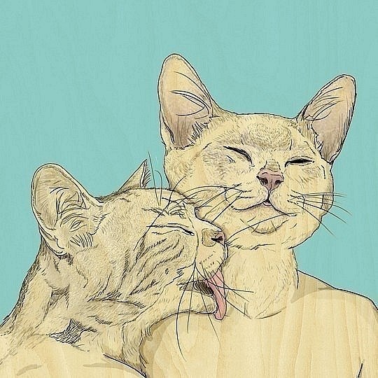 Юля Дроботун | Киев