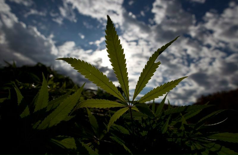 №5, Паша Танасиенко, Хмельницкий №5, Паша Танасиенко, Хмельницкий