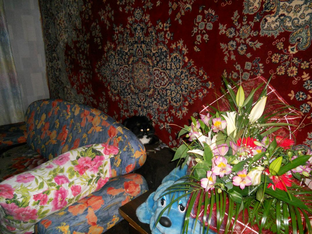 Екатерина Лисицына | Калуга