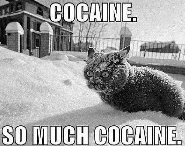 Юлия Кравцова | Москва