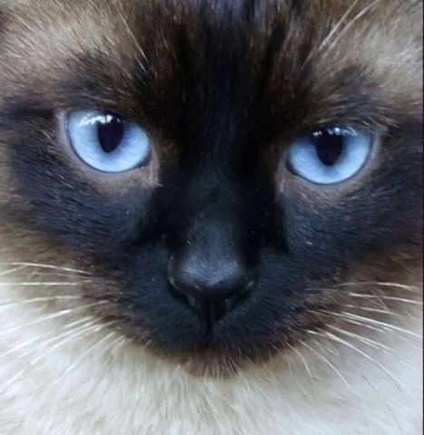 Juliana Litvinova 2.0 | Санкт-Петербург