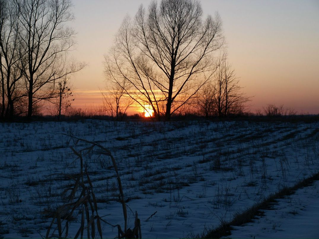 Інна Згривець | Киев