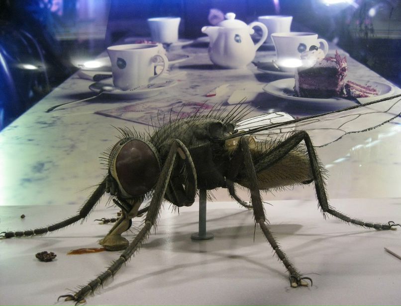 Сергей Симонов | Санкт-Петербург