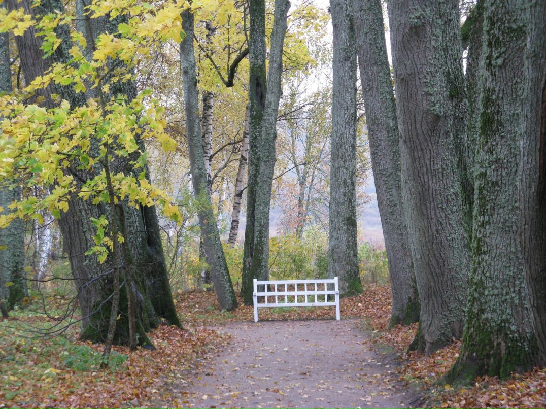 Юлия Савицкая | Санкт-Петербург