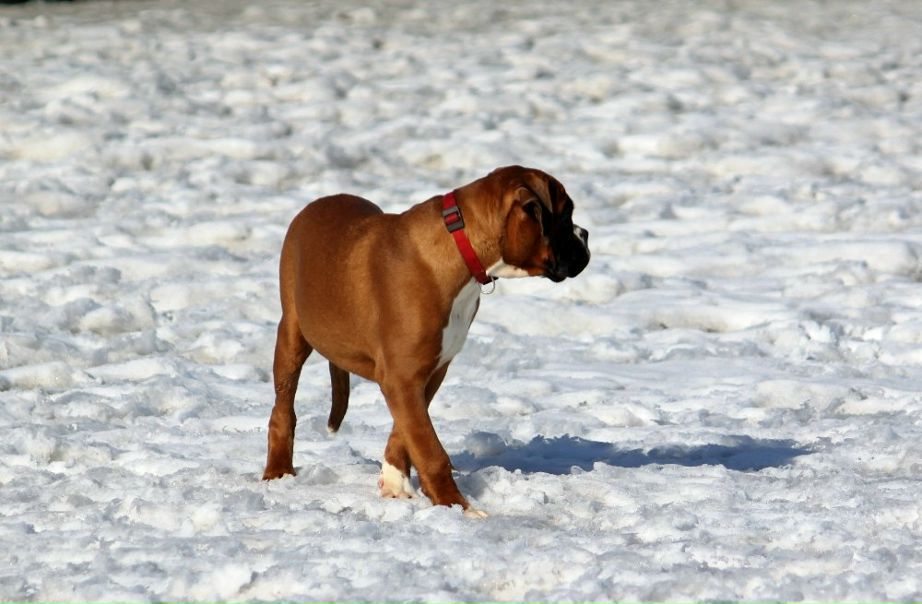 №5, татьяна зеленкова(озерова), 30.5.1979, Москва №5, татьяна зеленкова(озерова), 30.5.1979, Москва
