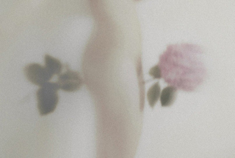 Вероника Гефеле | 