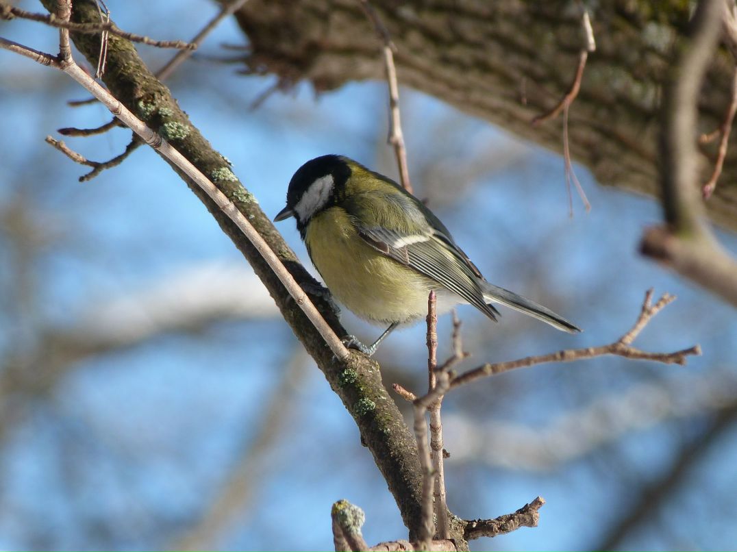 Инна Малмыга | Санкт-Петербург