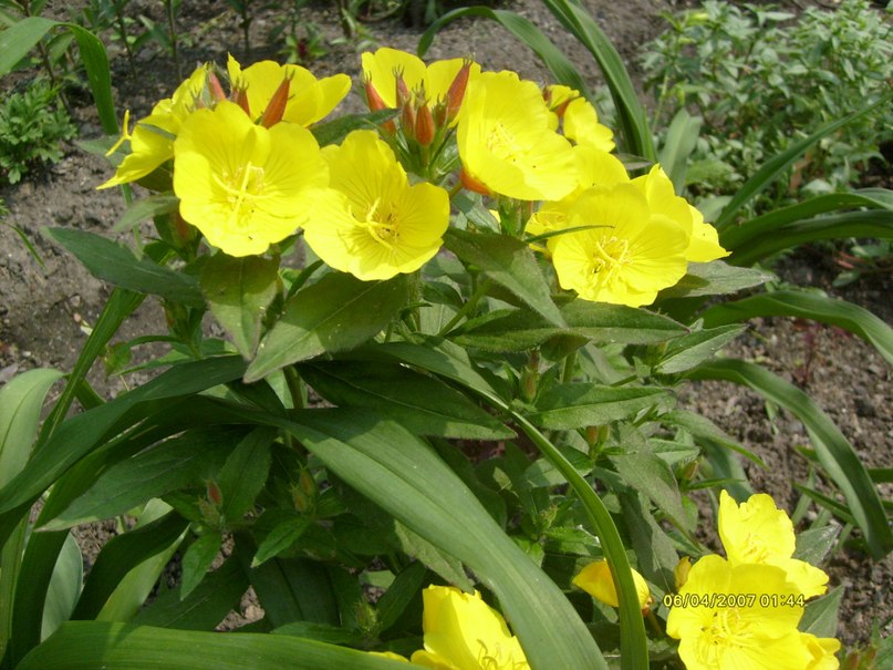 Мария Антропова | Челябинск