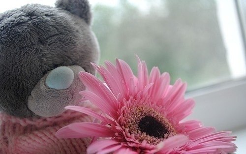 №37, Анна Кудряшова, Wrocław №37, Анна Кудряшова, Wrocław