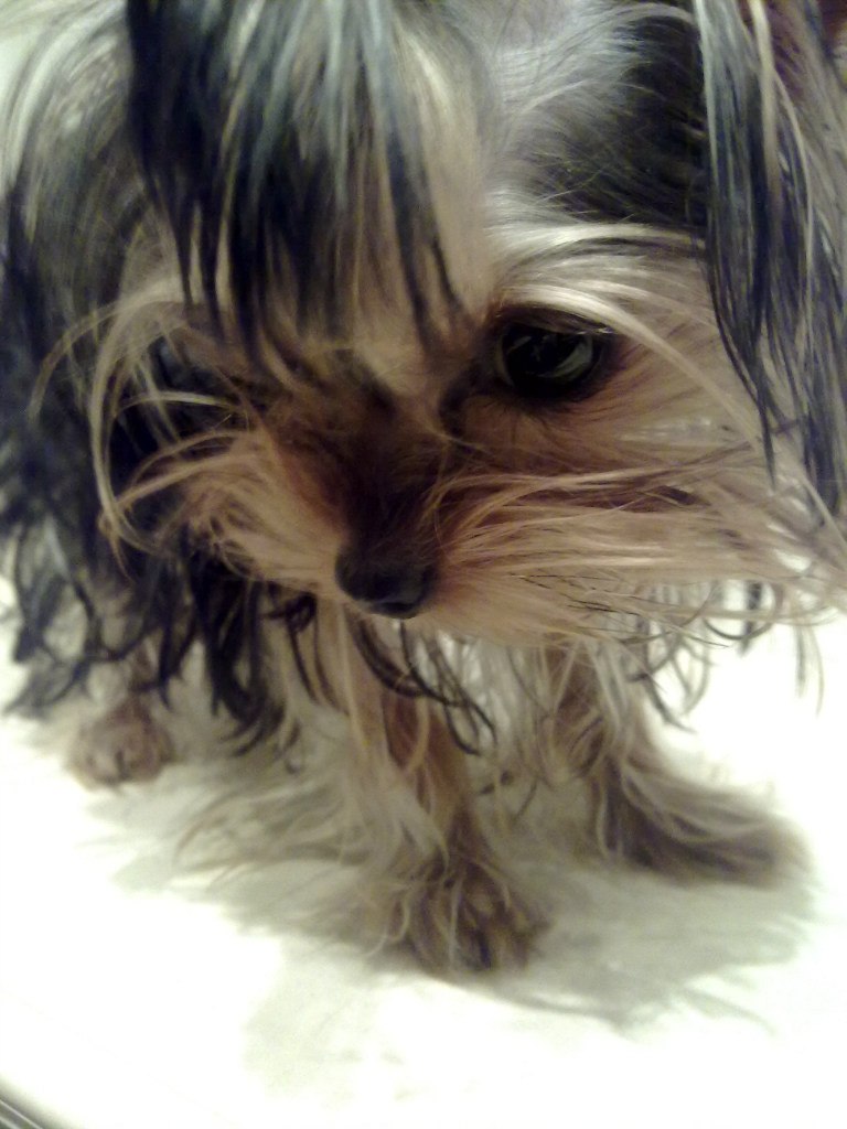 Таймураз Албегов | Москва