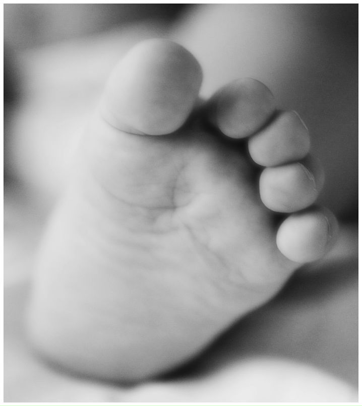 Mio Mio | Москва