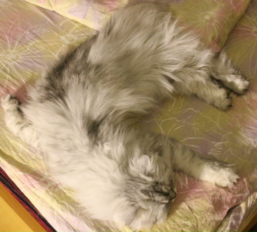 Галина Малина | Москва