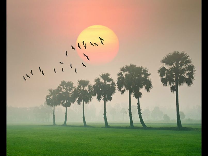 Катя Екатеринославская | 