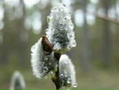 №7, Екатерина Кузнецова, 22.11, Ижевск, Россия