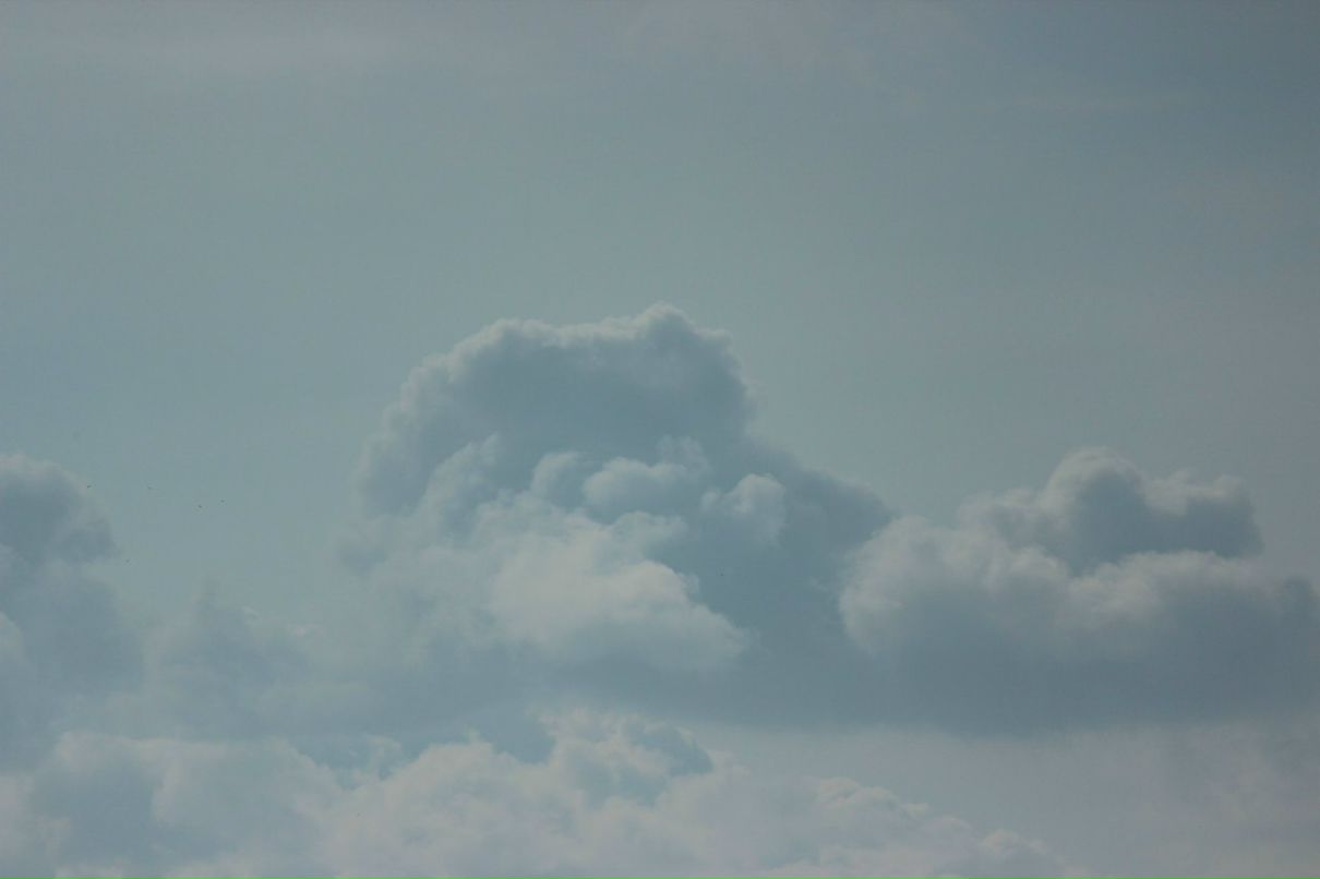 Виталий Рыбакин | Санкт-Петербург