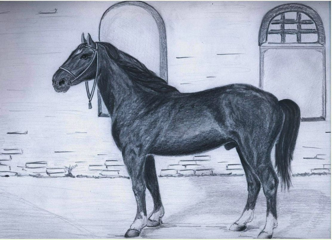 Екатерина Богданова | 