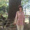 Аватар: Алла Шашера(медведь)