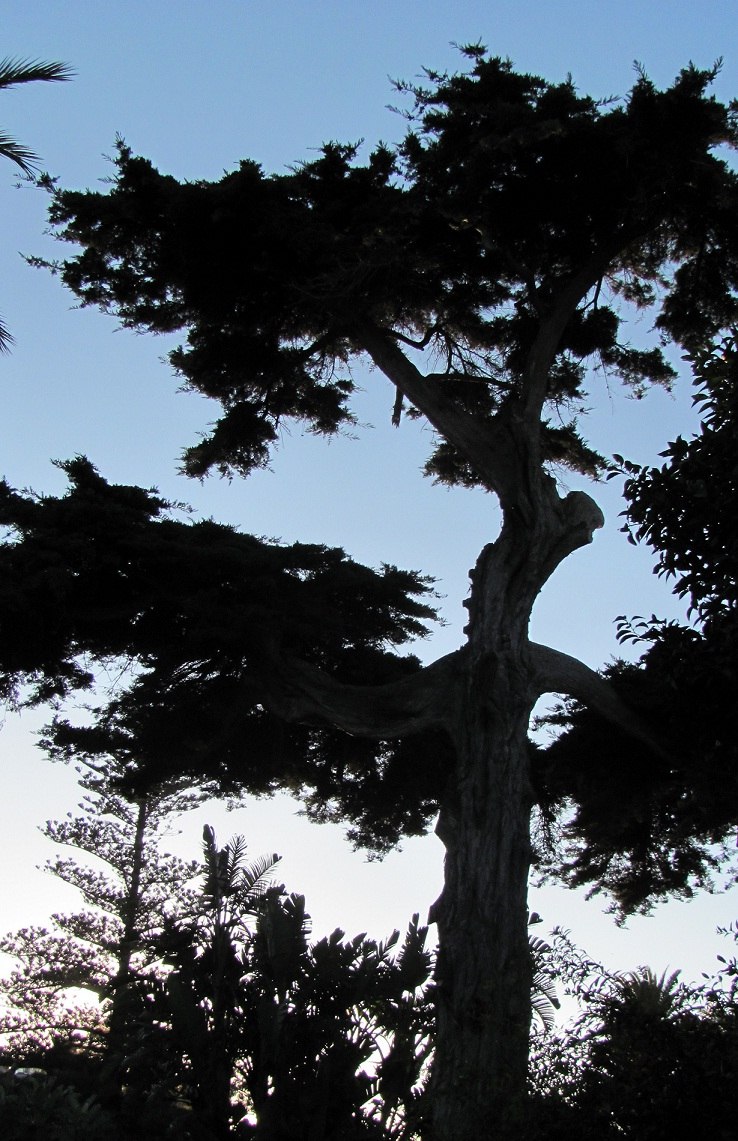 Ольга Губачева | 