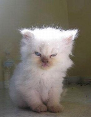 Игорь Набигус | Днепр (Днепропетровск)