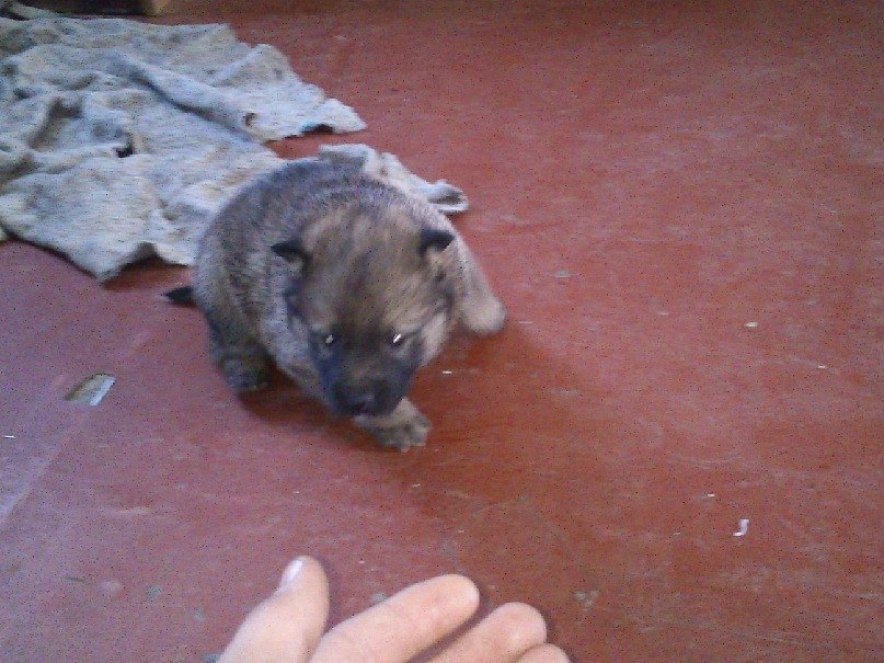 Александр Бугуртов | Стрежевой