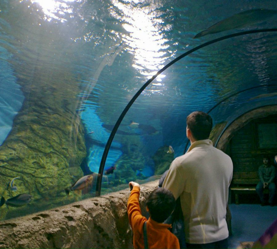 Мия Селезнёва | Москва