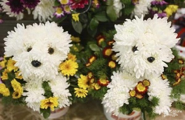 Варвара Кучменко | Чита