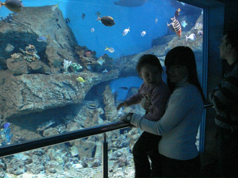 Яна Краснова | Москва