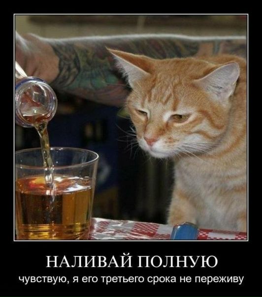№61, Павел Вахрушев №61, Павел Вахрушев