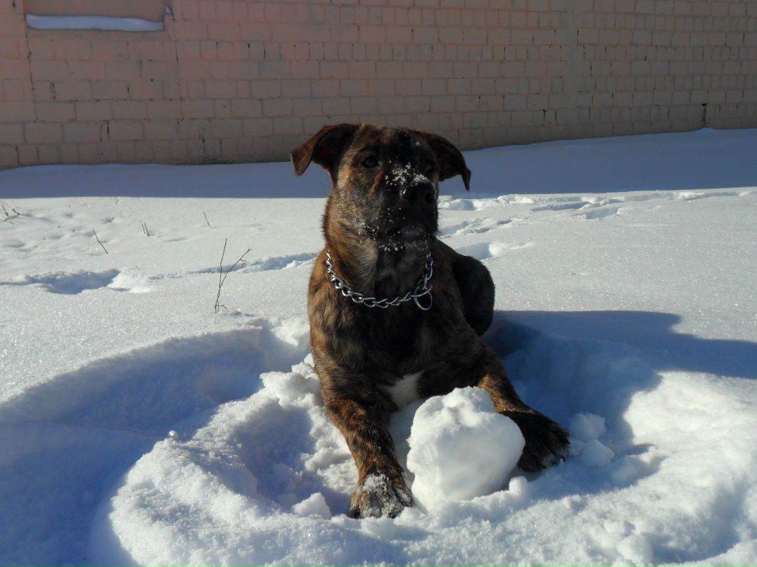 Александр Колодей 웃♥유 | Жлобин