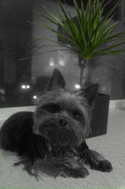 №37, Наталья Чухмарёва, Санкт-Петербург №37, Наталья Чухмарёва, Санкт-Петербург