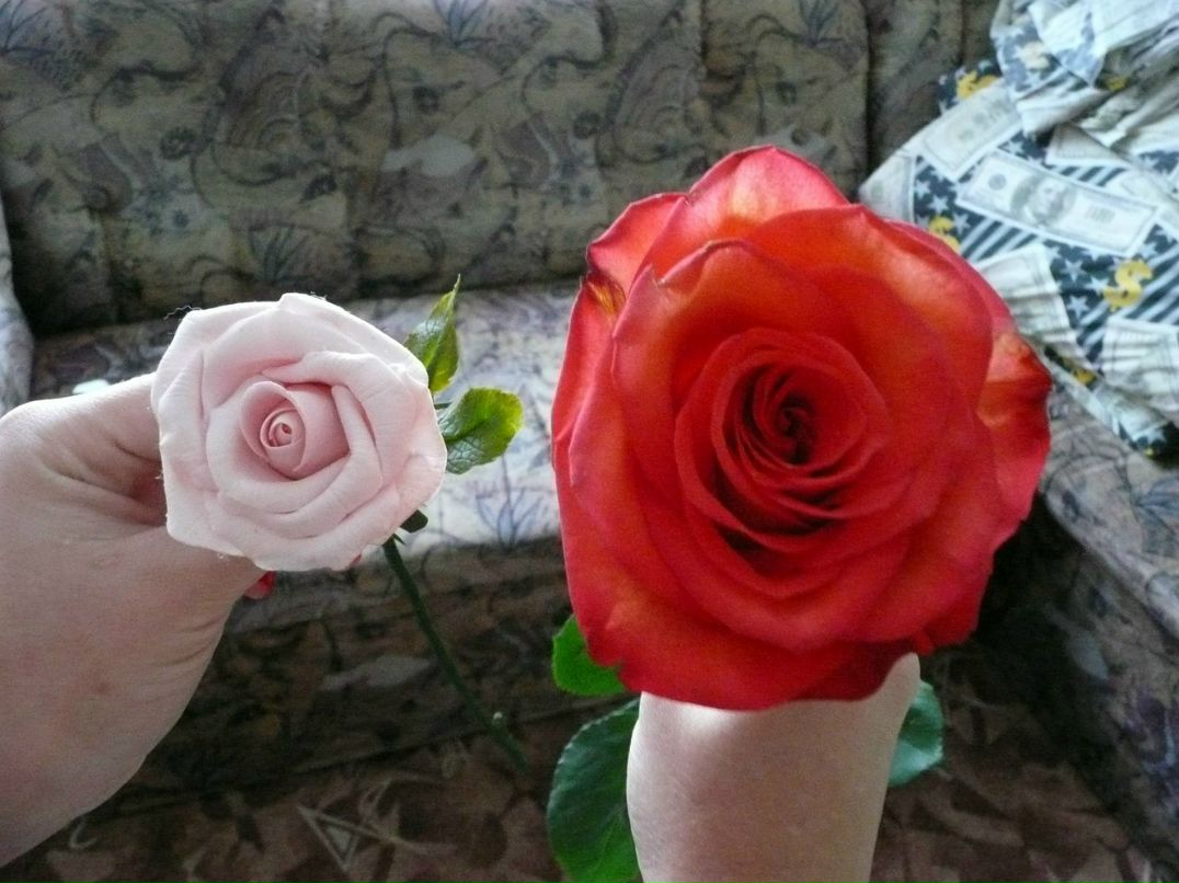 Татьяна Захарова | Санкт-Петербург